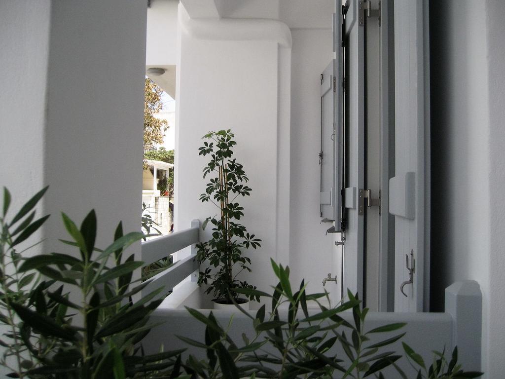 Aelia Apartments Naxos City Exterior foto